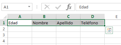 Cómo crear formularios en Excel con Herramienta predeterminada paso 7